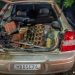 Dono de carro ligado à explosão foi candidato pelo PL em Rio do Sul