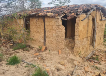 Suspeito de matar ex-companheira em Irará é preso na zona rural de Água Fria