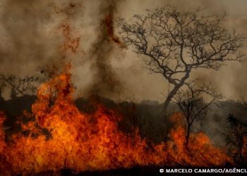 Desastres climáticos aumentaram 250% nos últimos quatro anos no país