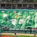Reeleita no Palmeiras, Leila Pereira fala sobre reforços