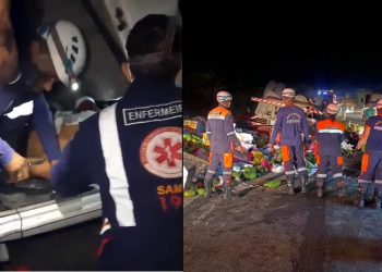 Vídeo – Caminhoneiro é resgatado com vida pela Brigada Anjos Jacuipenses após capotamento na BR 324