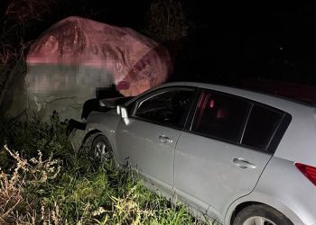Motorista desvia veículo para não colidir em cavalo e bate em pedra às margens da BA-120