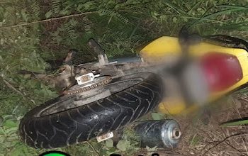 Colisão entre motocicleta e animal deixa um morto e dois feridos na BR 407