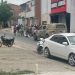 Idoso morre ao colidir bicicleta em porta de carro no centro de Serrinha