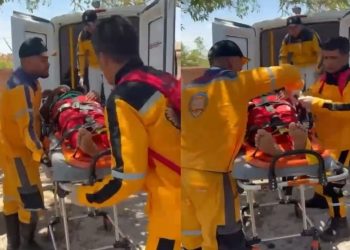 Homem cai de árvore e é socorrido pela Brigada Anjos da Vida