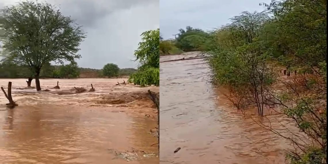 Sertanejo se alegra com a chuva e entristece por não conseguir resgatar algumas cabras e bodes levadas pela forte correnteza