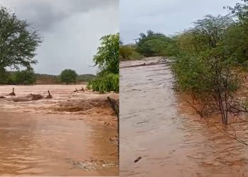 Sertanejo se alegra com a chuva e entristece por não conseguir resgatar algumas cabras e bodes levadas pela forte correnteza