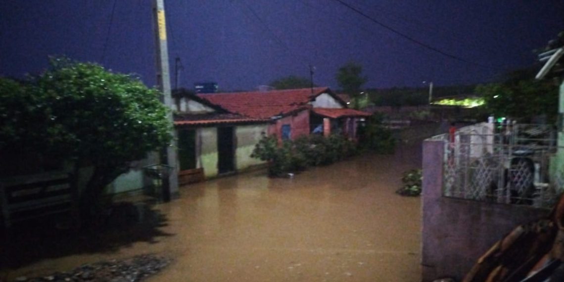 Ponte Nova: casas inundadas e cachorro arrastado pela correnteza