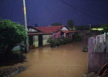 Ponte Nova: casas inundadas e cachorro arrastado pela correnteza