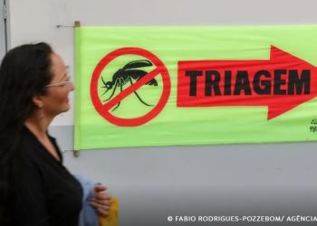 Entenda o que são sorotipos da dengue e por que o tipo 3 preocupa