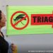 Entenda o que são sorotipos da dengue e por que o tipo 3 preocupa
