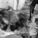 Casal é encontrado morto em casa abandonada