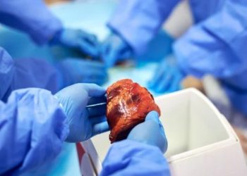 Pacientes transplantados podem herdar gostos e personalidade do doador de órgão