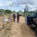Jovem é encontrado morto a golpes de arma branca na zona rural de Riachão do Jacuípe