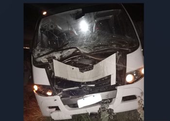 Micro-ônibus que transportava pacientes de Santaluz colide com cavalo na BA-120