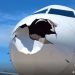 Voo da Latam retorna ao Galeão após avião colidir com pássaro