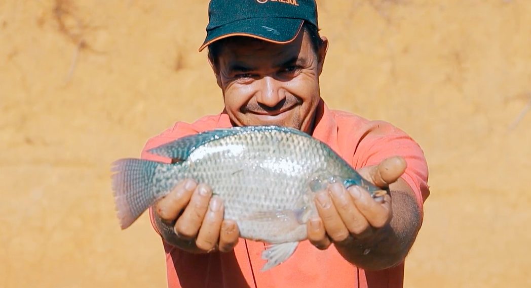 Cresol se destaca com o maior número de operações no BNDES em 2024