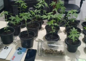 Dois suspeitos de participação no sequestro de casal em Pindobaçu são presos pela PM e Jacobina