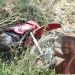 Homem morre vítima de acidente de moto na BA 130 quando retornava de cavalgada