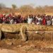 Crocodilo gigante é capturado na África após desaparecimentos