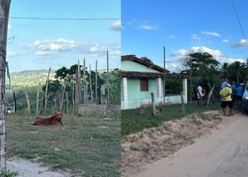 Idosa de 97 anos fica gravemente ferida após ser atacada por pitbull