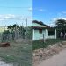 Idosa de 97 anos fica gravemente ferida após ser atacada por pitbull