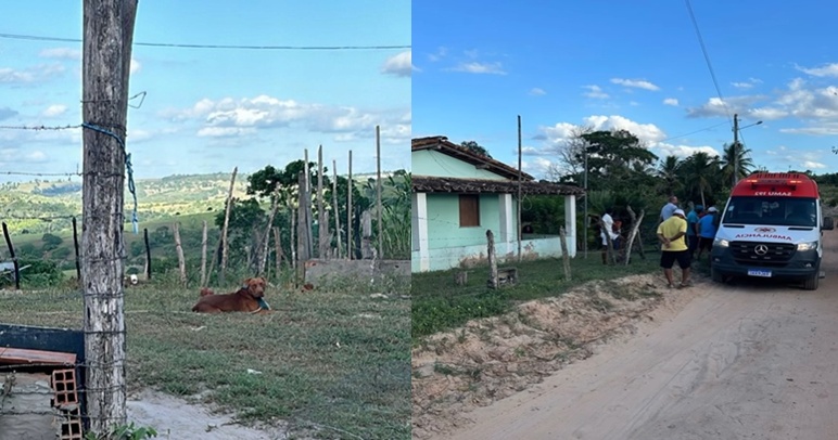 Idosa de 97 anos fica gravemente ferida após ser atacada por pitbull