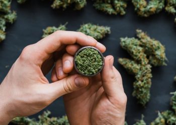 GO – Homem registra boletim de ocorrência por não receber maconha de traficante: ‘Agiu de má fé’