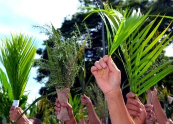 Igreja católica celebra início da semana santa com procissão e missa de ramos; veja a programação da Paróquia N.S. da Conceição do Coité