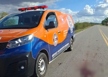 Idoso morre em hospital após ser atropelado na BA 233 (atualizada)