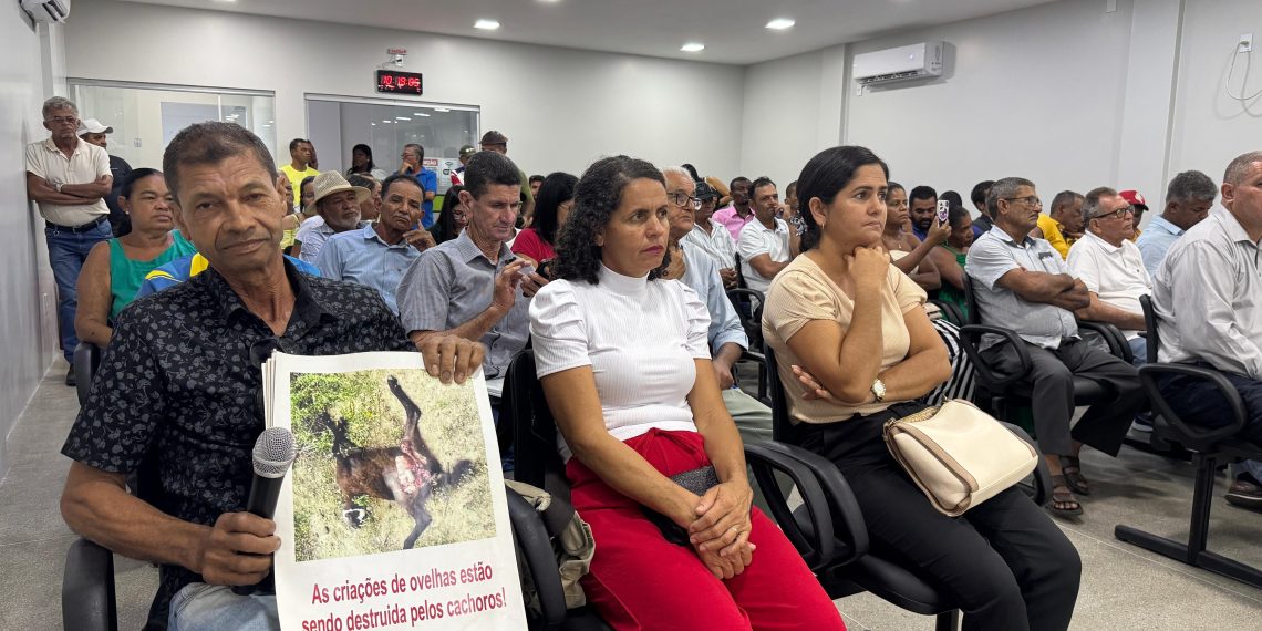 Audiência pública debate ataques de cães a rebanhos em Riachão do Jacuípe