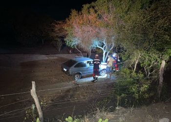 Motorista perde o controle do carro, desce ribanceira e colide com árvore