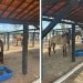 Prefeitura de Coité intensifica apreensão de animais soltos em vias públicas