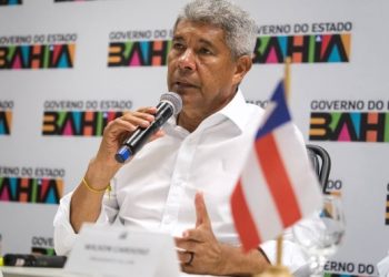 Governador da Bahia discute em reunião virtual ataques de cães a rebanhos no interior do estado