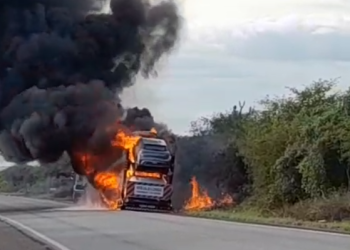 Incêndio atinge carreta cegonha na BR 407, trecho de Ponto Novo