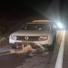 Suposta onça-parda morre atropelada na BA 052