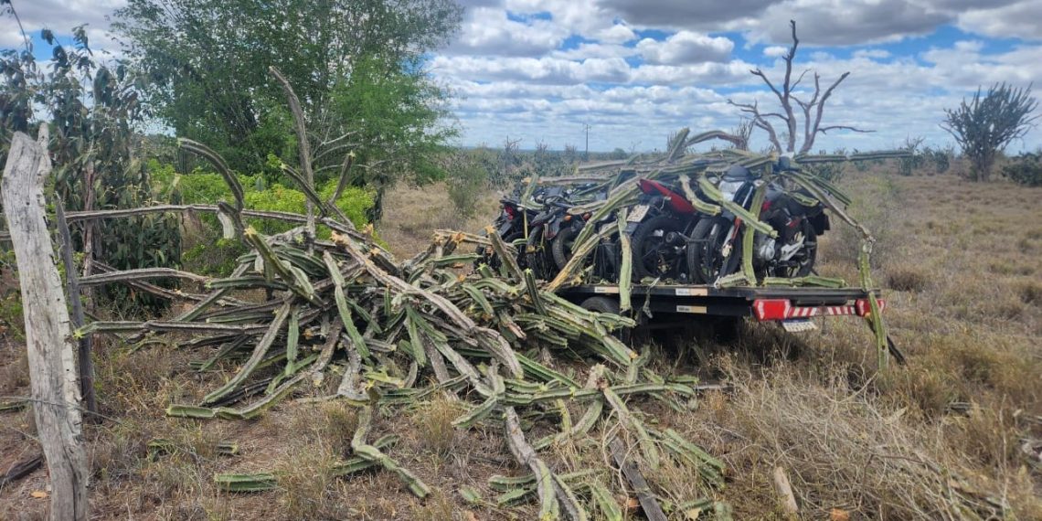 Reboque carregado com motocicletas se desprende, sai da pista e para ao colidir com pé de mandacarú