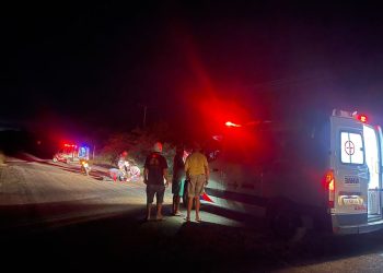 Mototaxista e passageiro ficam feridos após atropelar cachorro e cair na pista da BA-411