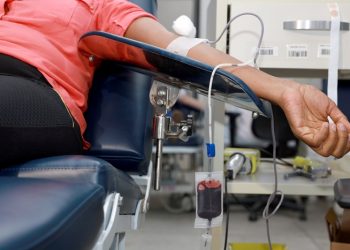 Hemoba atende os doadores de sangue durante o período de São João