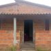 Mulher de 60 anos é morta pelo marido a golpes de enxada