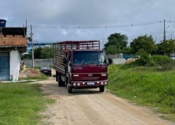 Animais na pista: Prefeitura de Serrinha se une a de Barrocas em ação visando evitar acidentes na BA 411