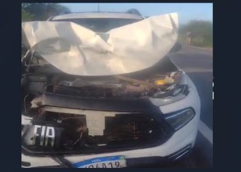 Toro fica parcialmente destruído após atropelar cavalo; animal morreu na hora