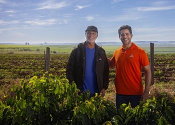 Cresol encerra Plano Safra 24/25 com R$ 13 bi e projeta novo recorde de crédito rural