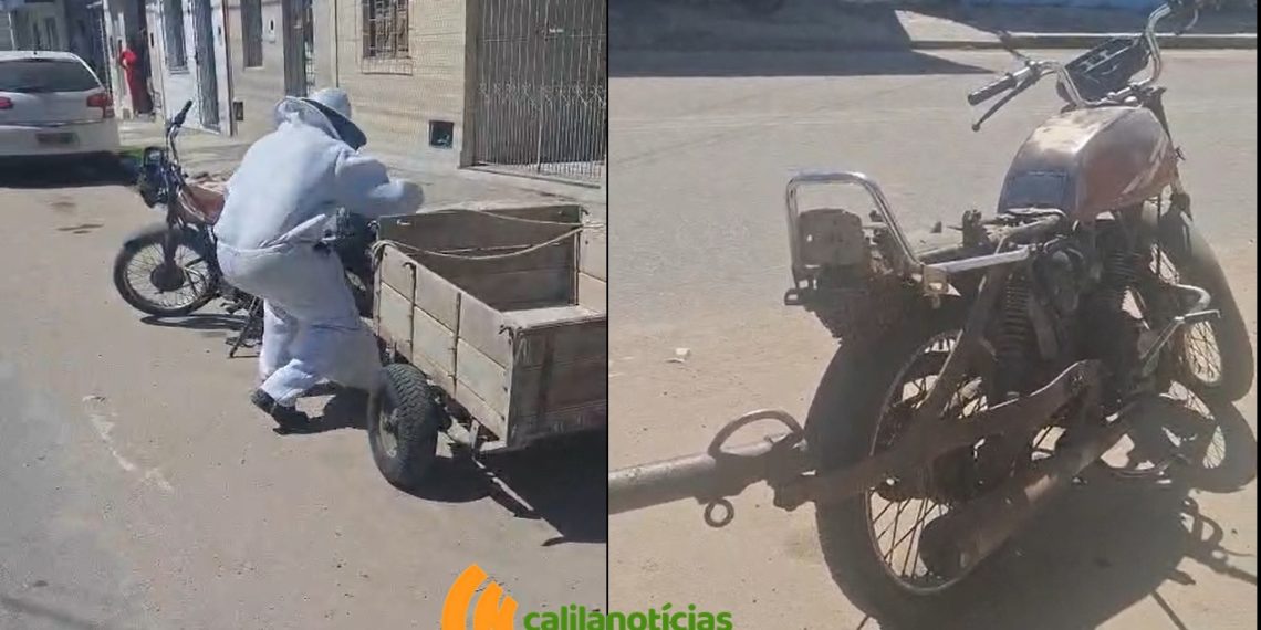 Presença de abelhas em áreas urbanas de Riachão do Jacuípe cresce e preocupa moradores; até motocicleta serve de alojamento