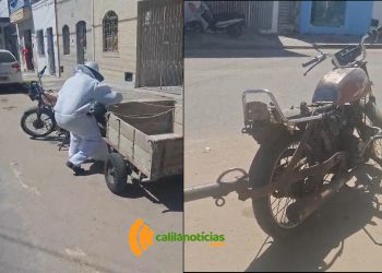 Presença de abelhas em áreas urbanas de Riachão do Jacuípe cresce e preocupa moradores; até motocicleta serve de alojamento