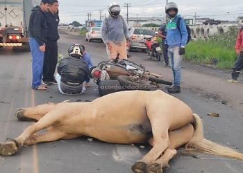 Feira: motociclista sofre grave acidente ao colidir com cavalo no Anel de Contorno