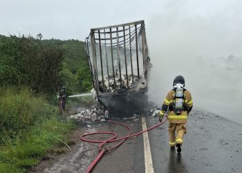 Incêndio destrói caminhão carregado de fraldas na BR-101