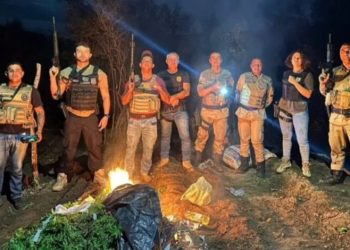 Drones ajudam polícia a encontrar e erradicar roças de maconha