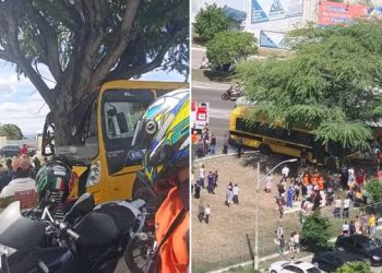 Dez pessoas ficam feridas após ônibus escolar com mais de 50 estudantes bater em árvore