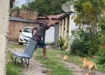 Homem é filmado matando gato a pauladas na zona rural de Serrinha; prefeitura aciona MP